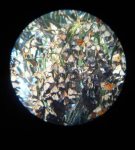 Pismo Beach Penthouse Oceanfront